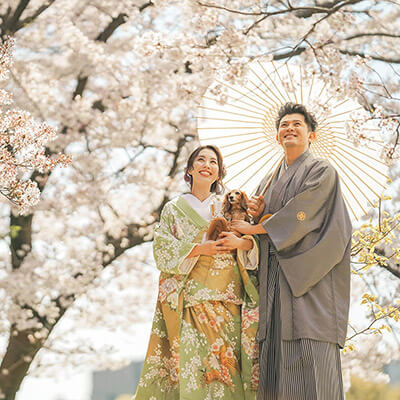 桜のペットと一緒に和装ロケーション