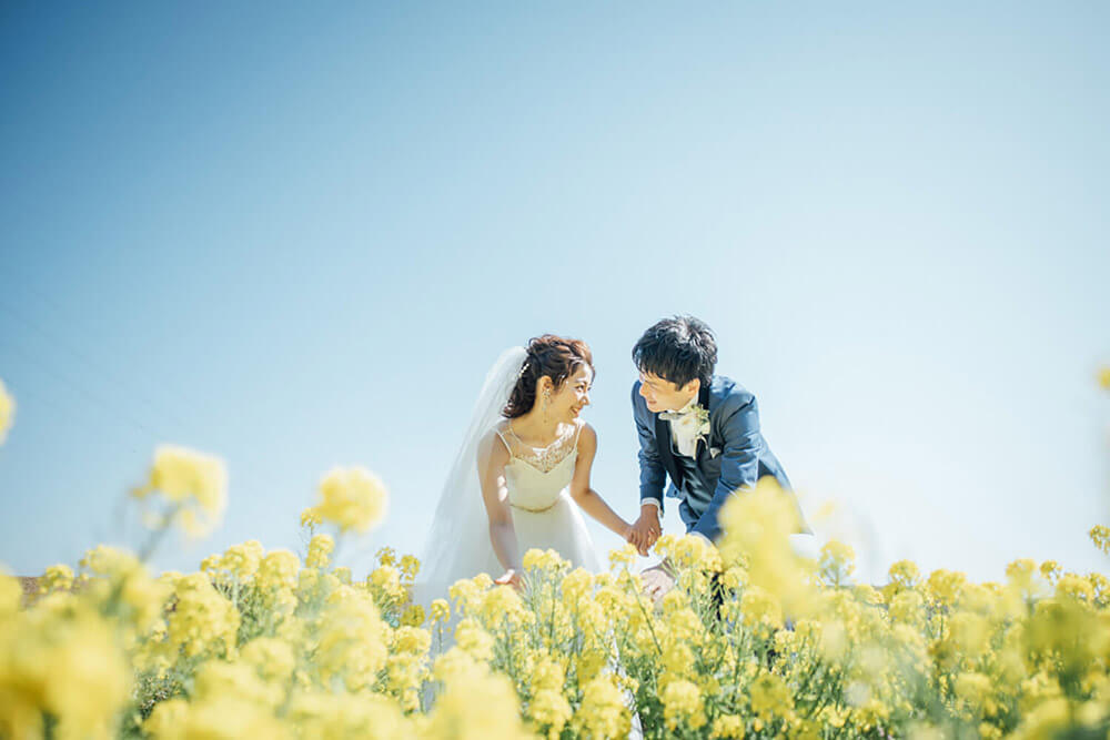 菜の花で洋装ロケーション