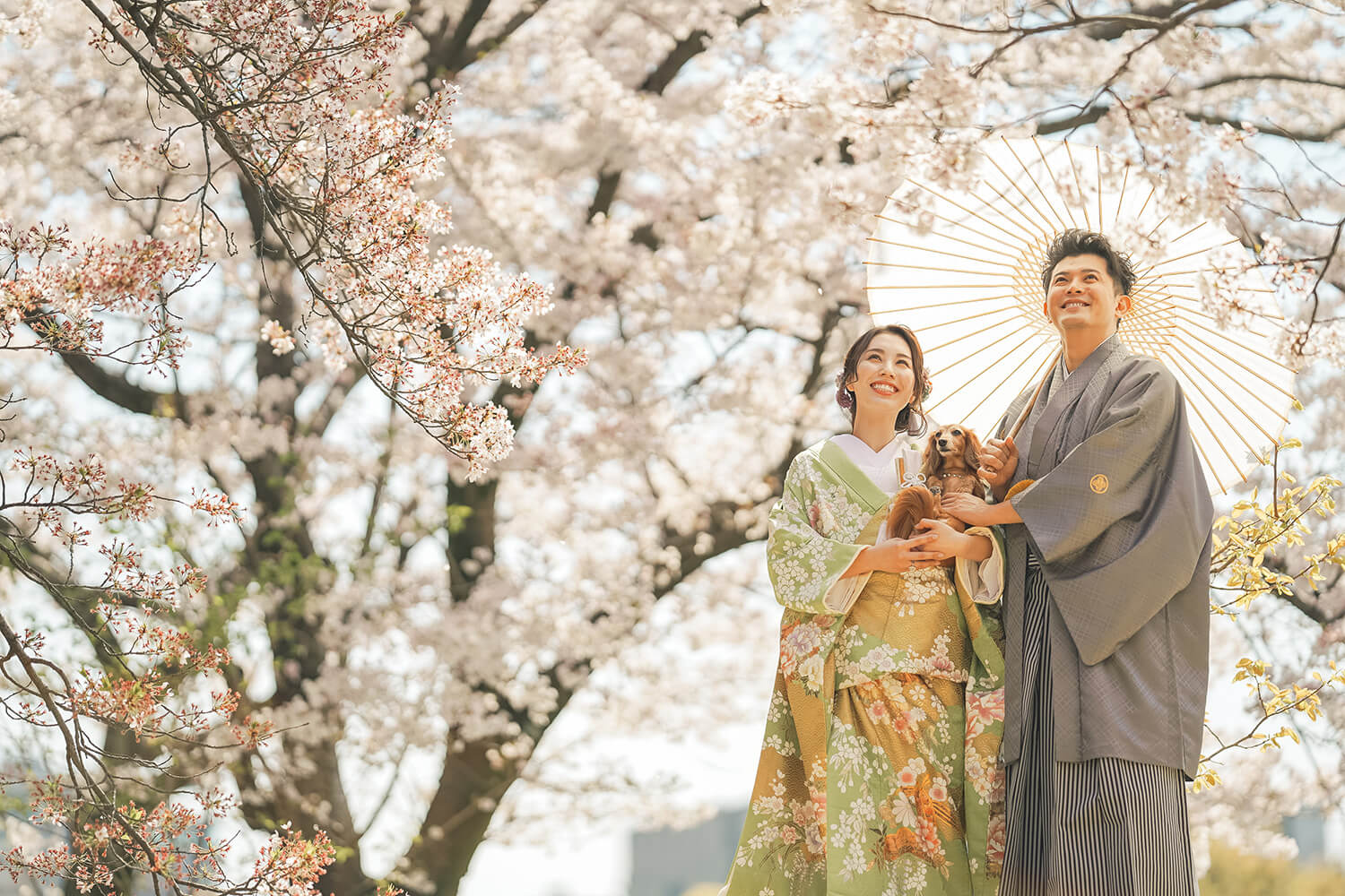 桜の色打掛で和装ロケーション