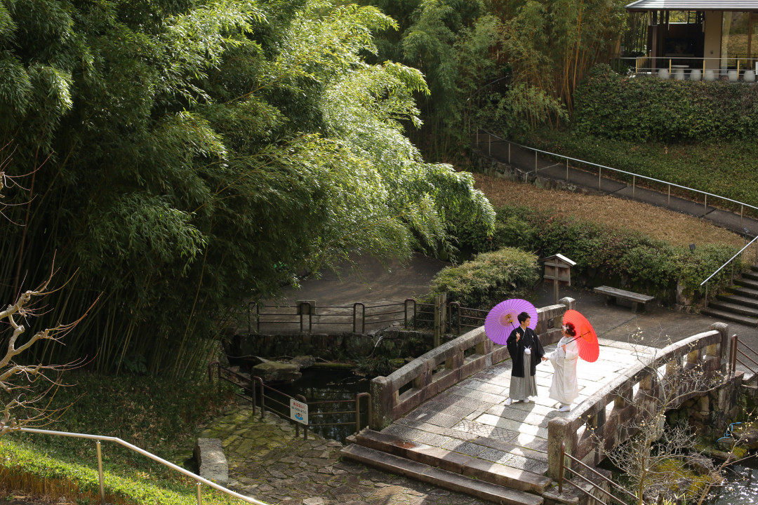 竹林公園2