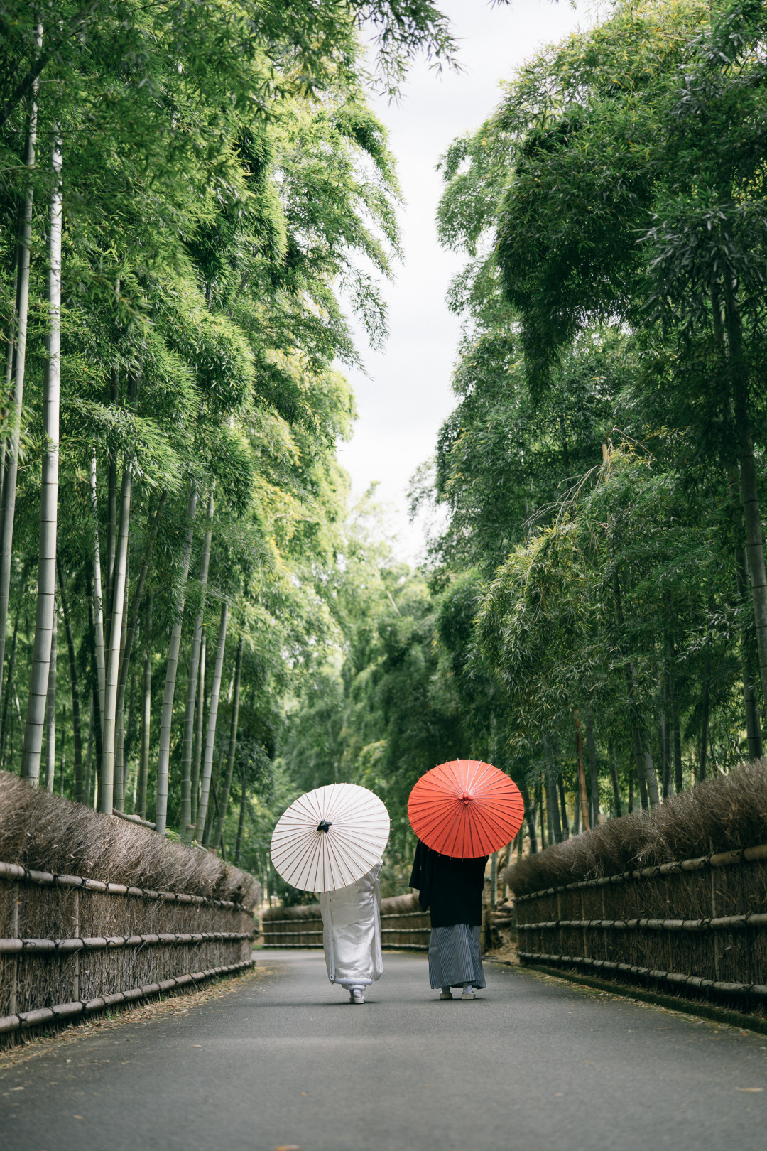 竹林公園10