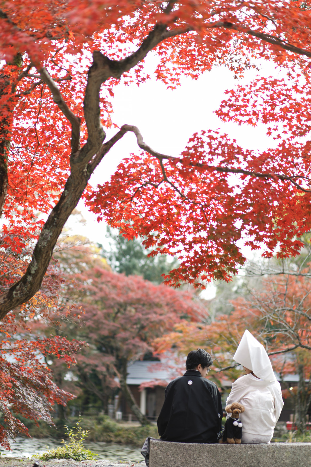 大原野神社18