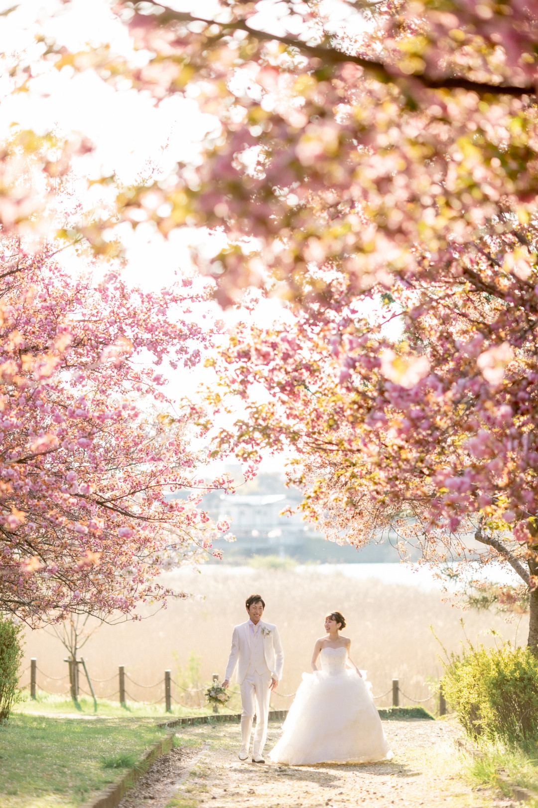 桜でフォトウェディング・前撮り4