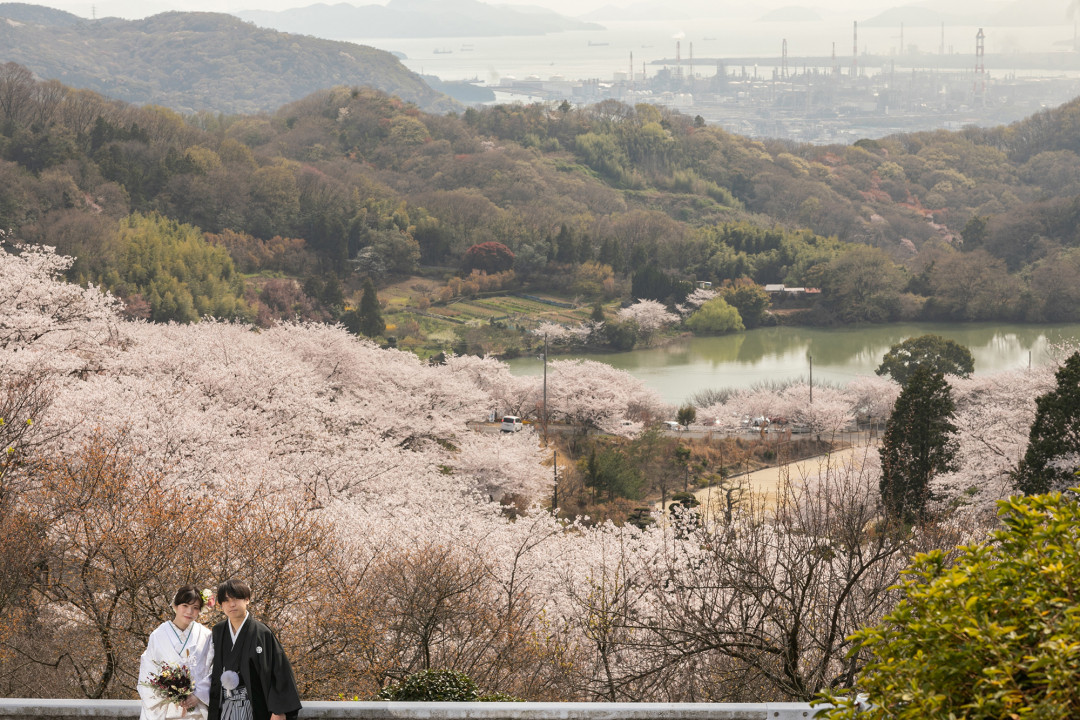 種松山公園4