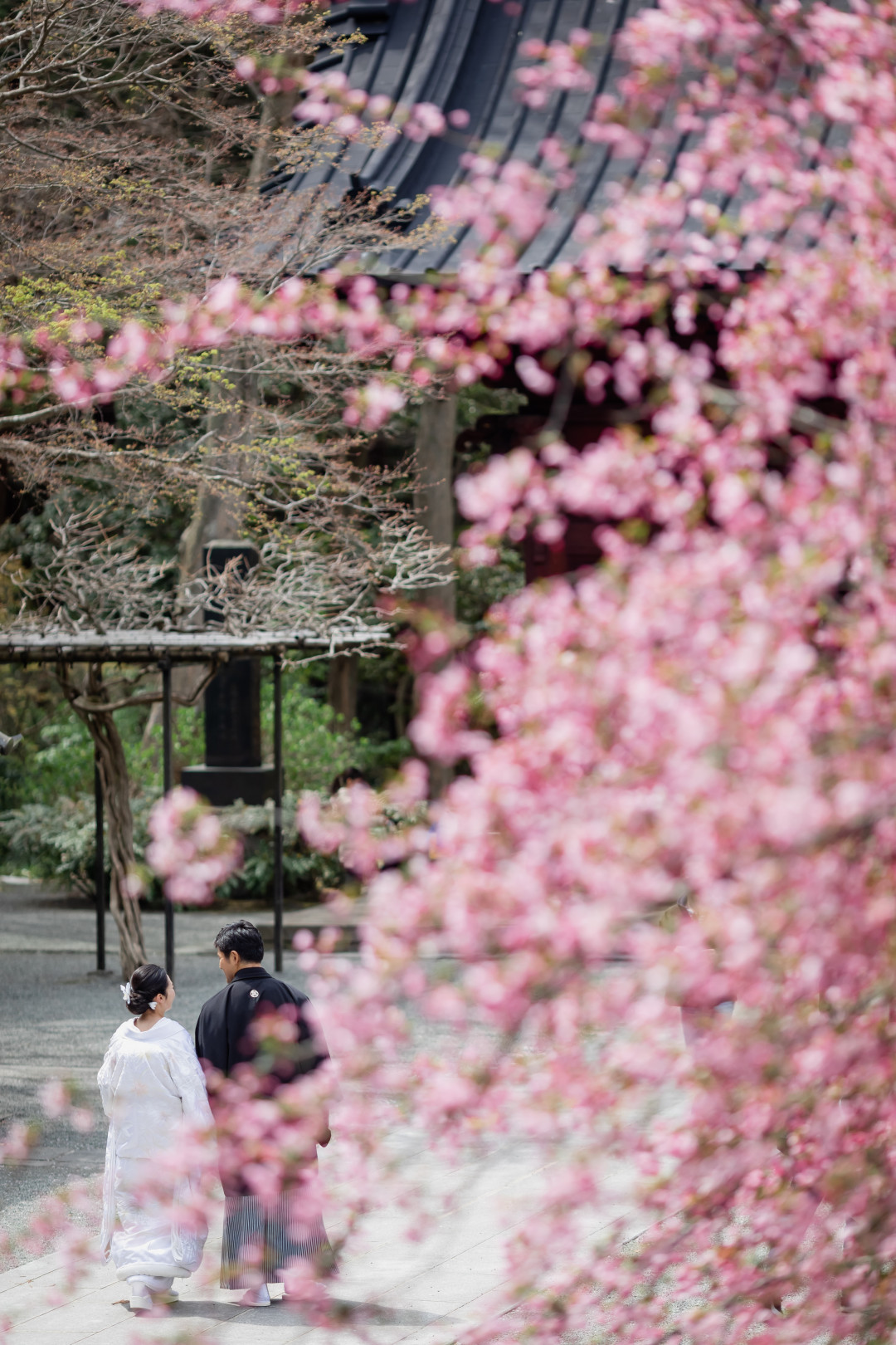 妙本寺（鎌倉）3