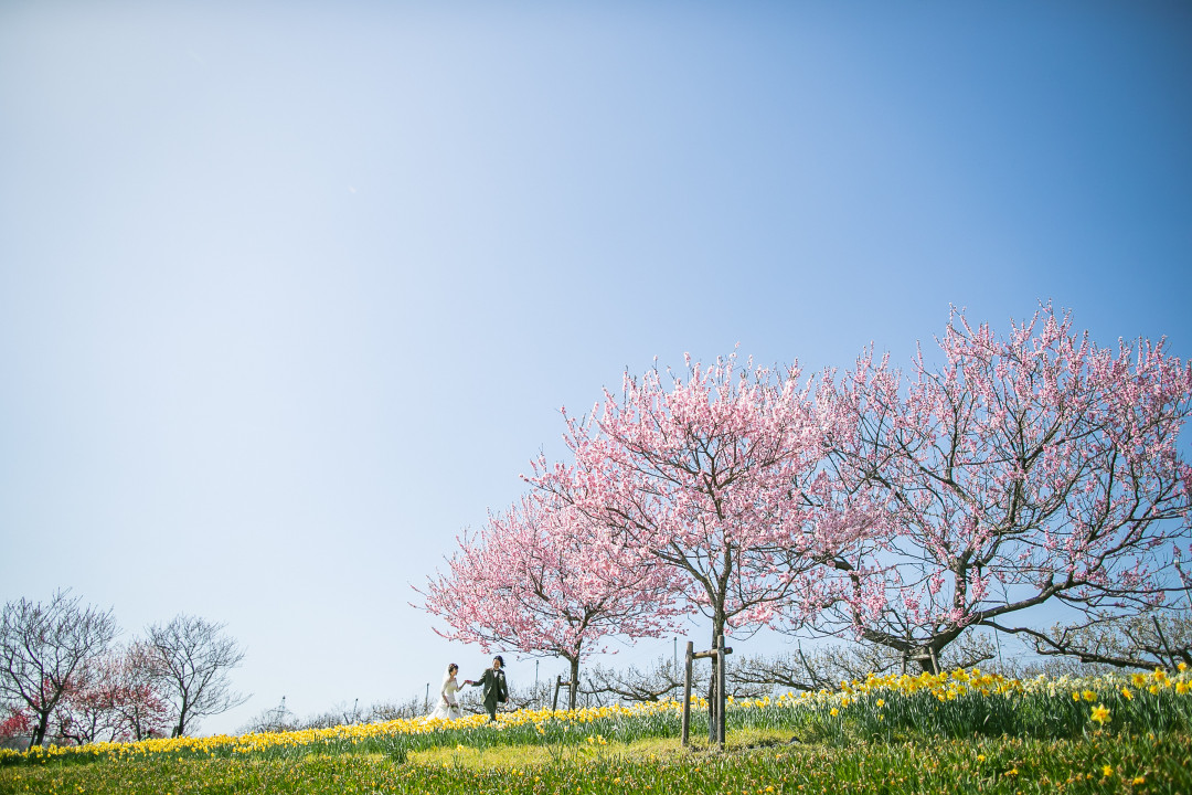 備北丘陵公園1