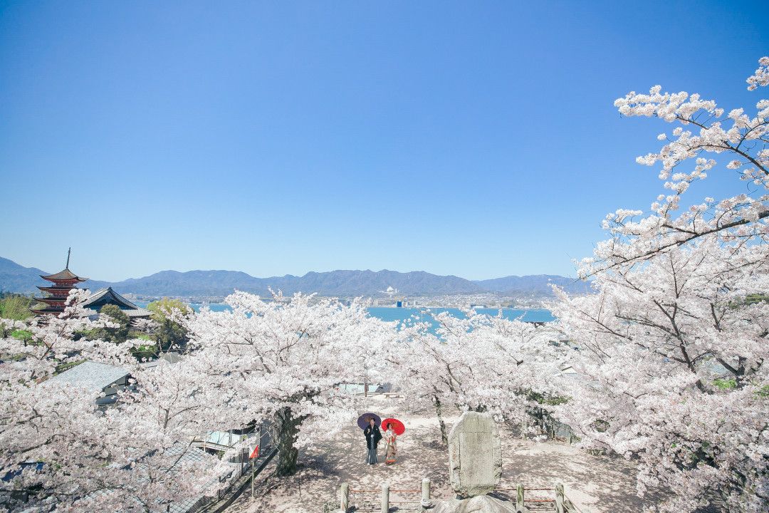 桜でフォトウェディング・前撮り11