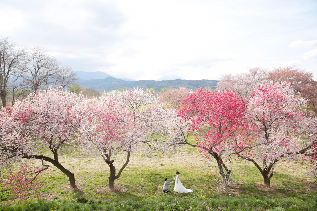 千曲川堤防3