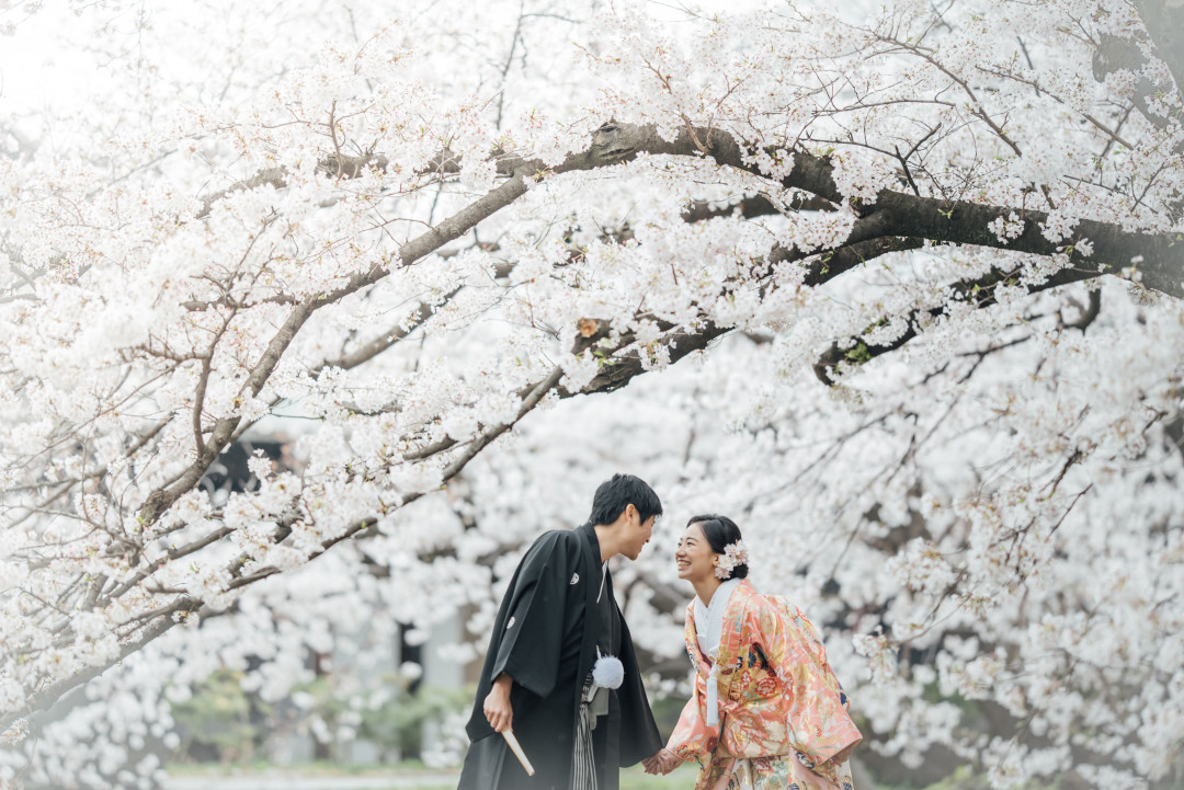 桜でフォトウェディング・前撮り13