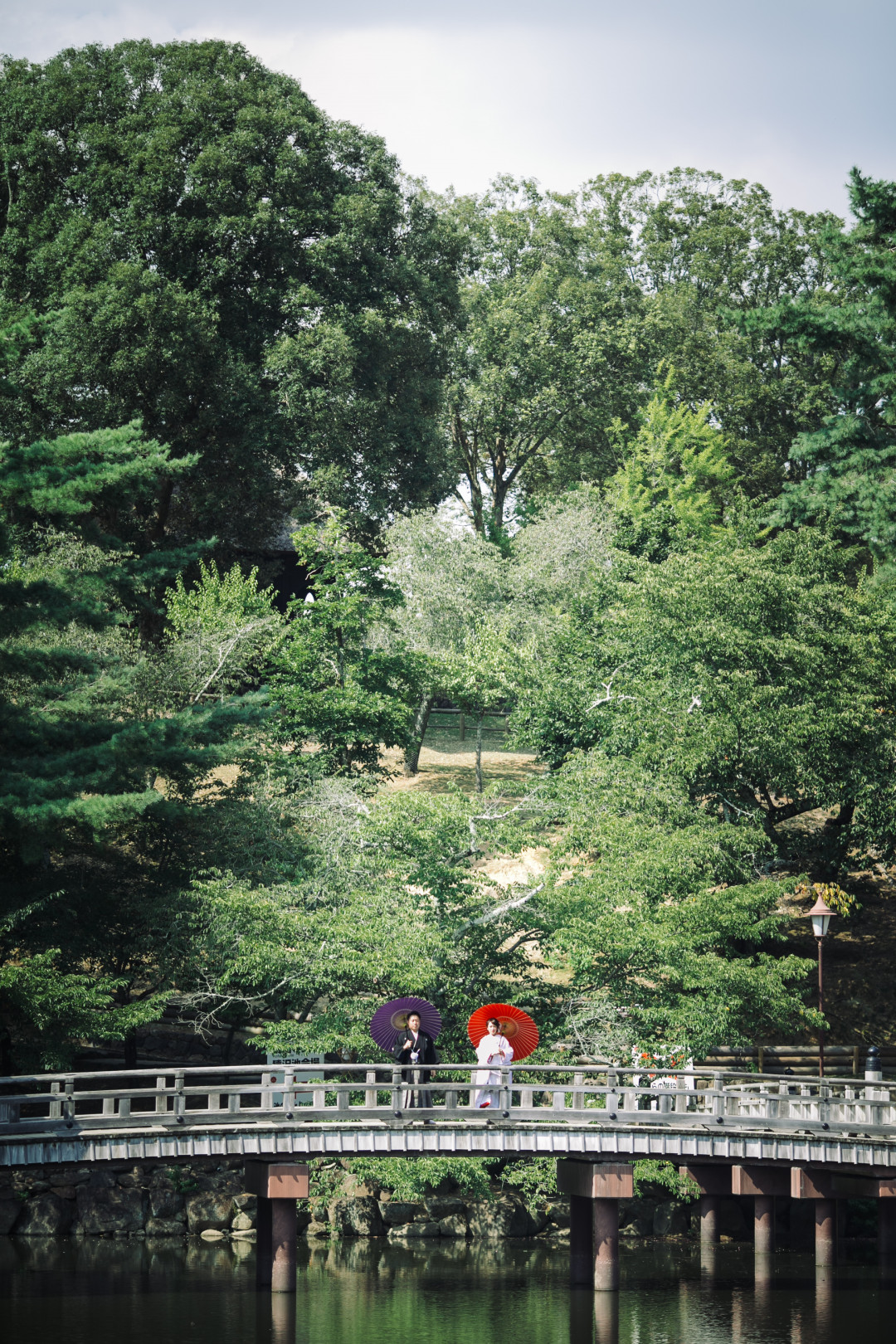 奈良公園9
