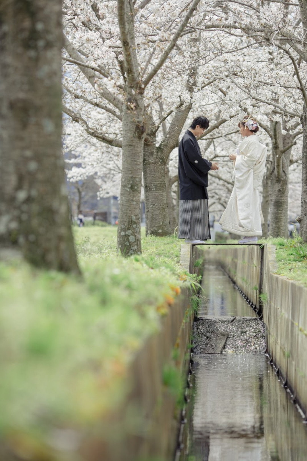 奈良の街並み2