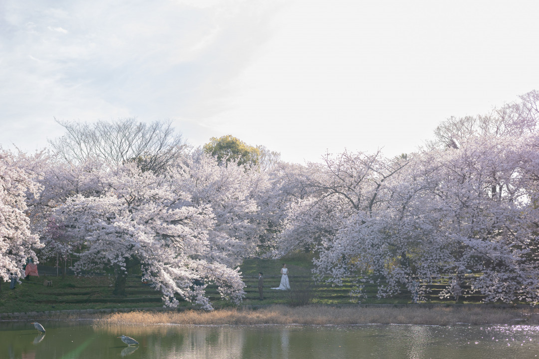 花博記念公園鶴見緑地3