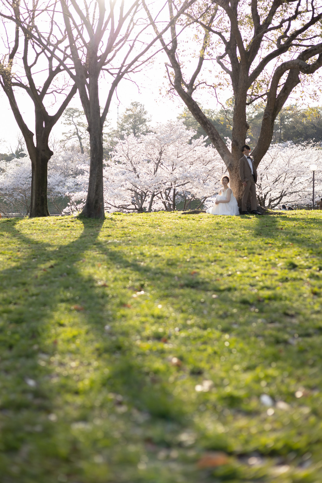 花博記念公園鶴見緑地6