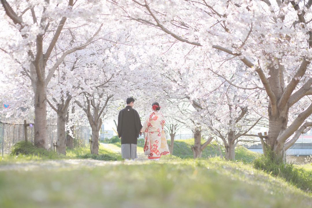 桜でフォトウェディング・前撮り9