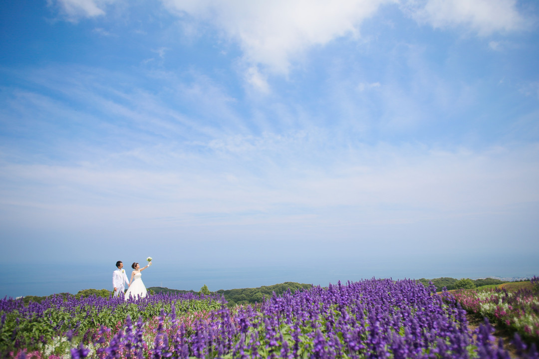 淡路花さじき2