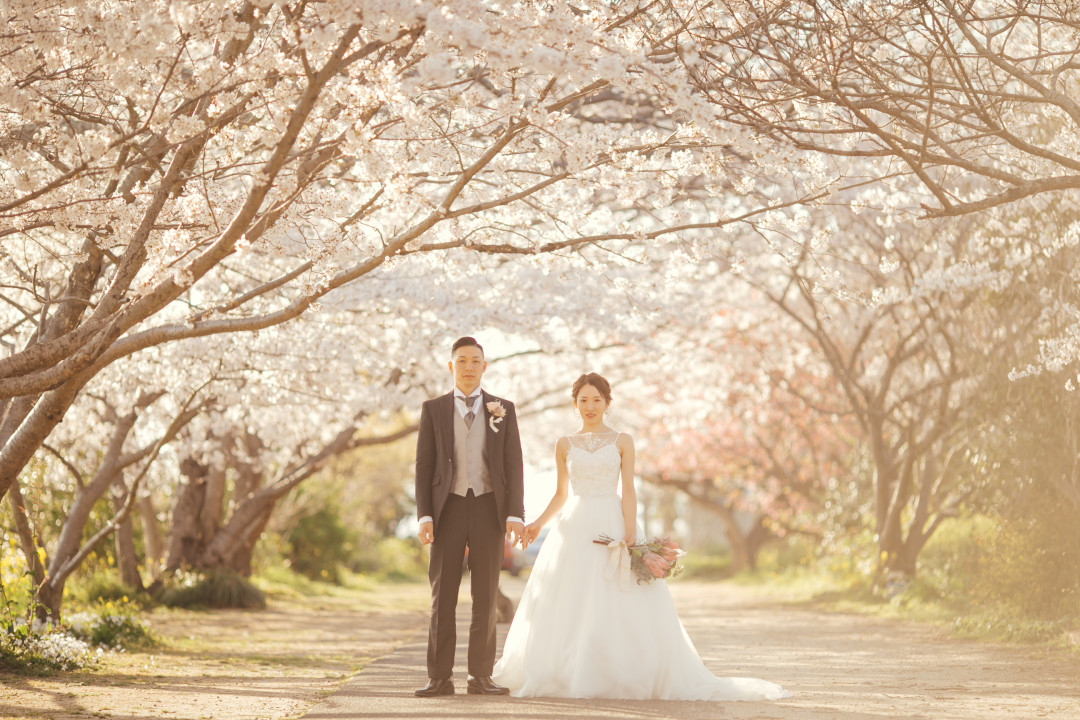 桜でフォトウェディング・前撮り10