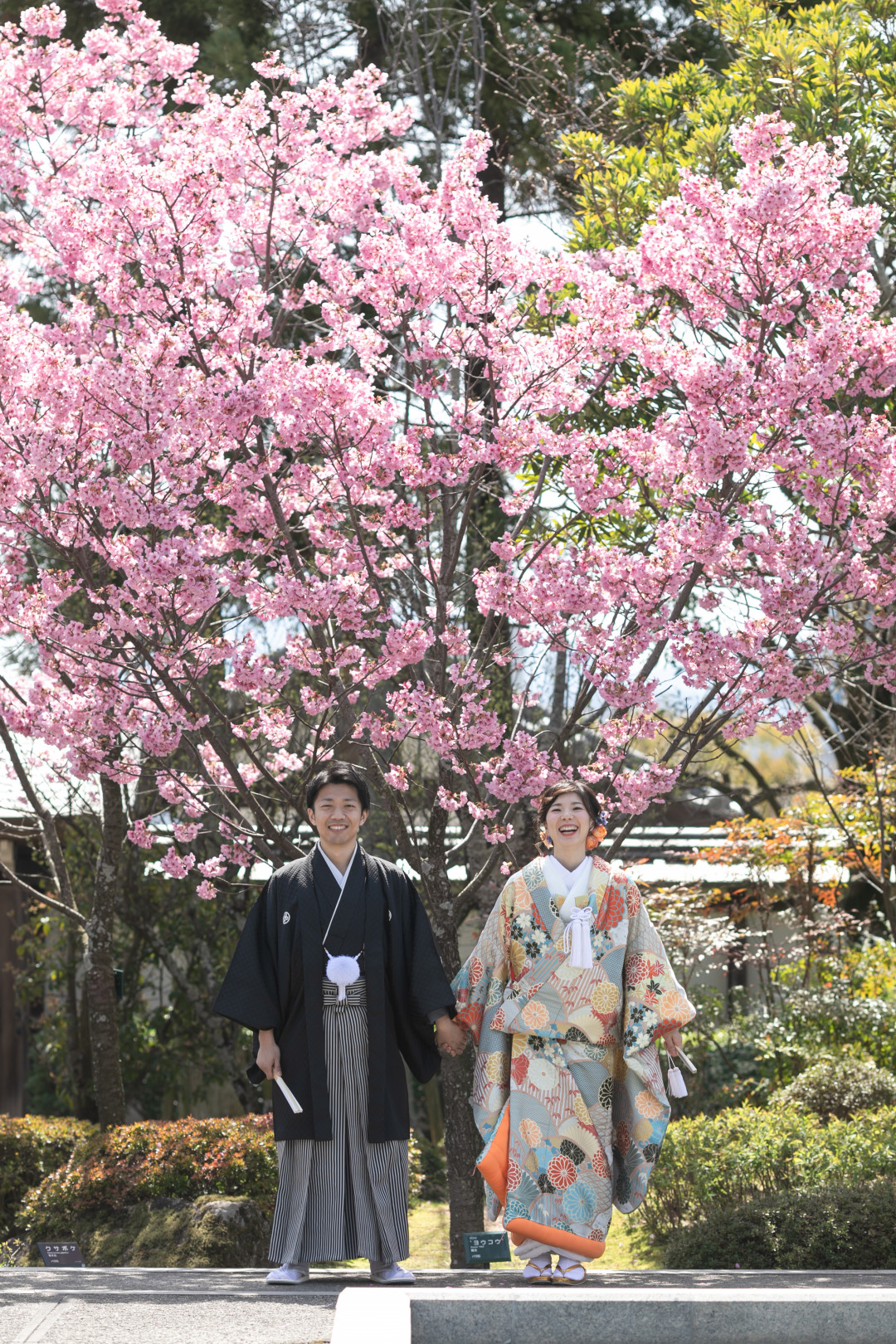 二之丸史跡庭園11