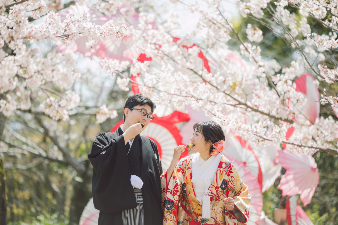 桜でフォトウェディング・前撮り7