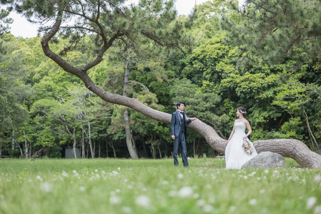 公園・森でフォトウェディング・前撮り1