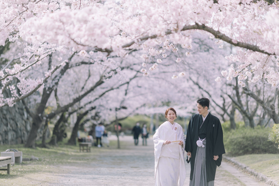 桜でフォトウェディング・前撮り6