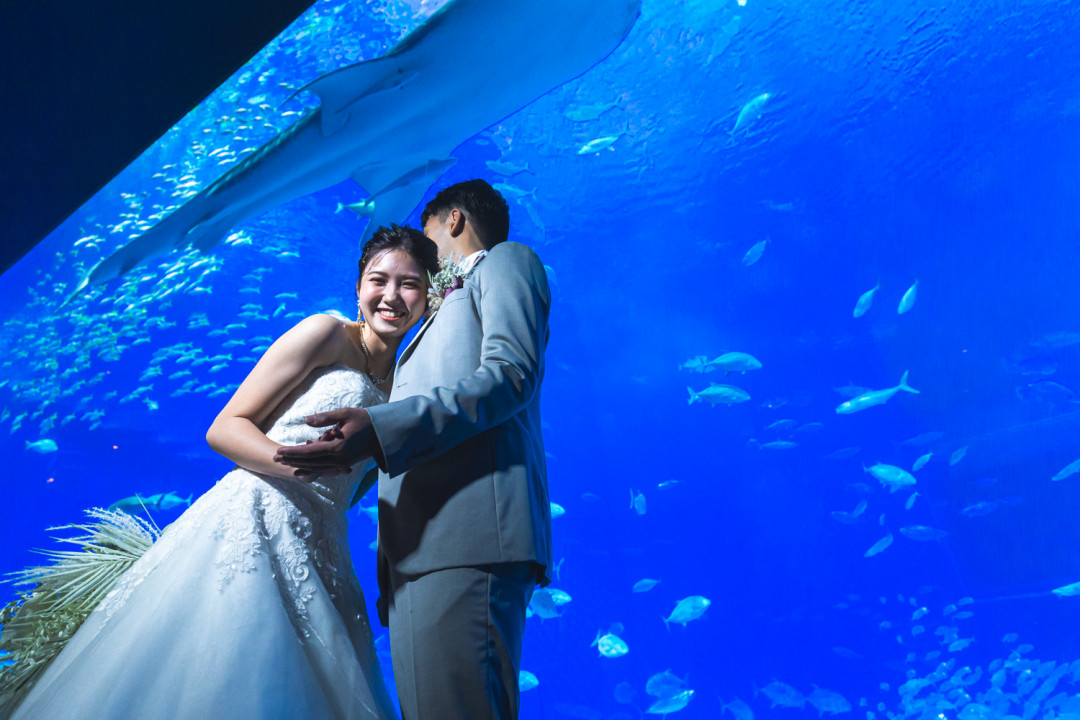 美ら海水族館14