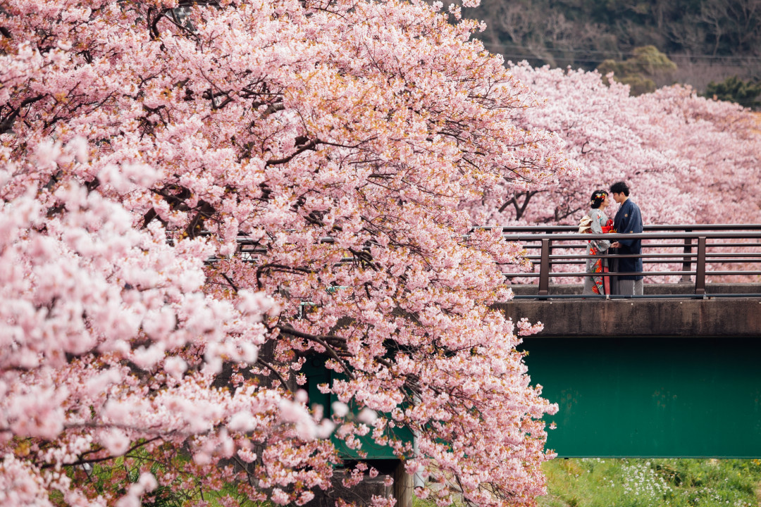 桜でフォトウェディング・前撮り18