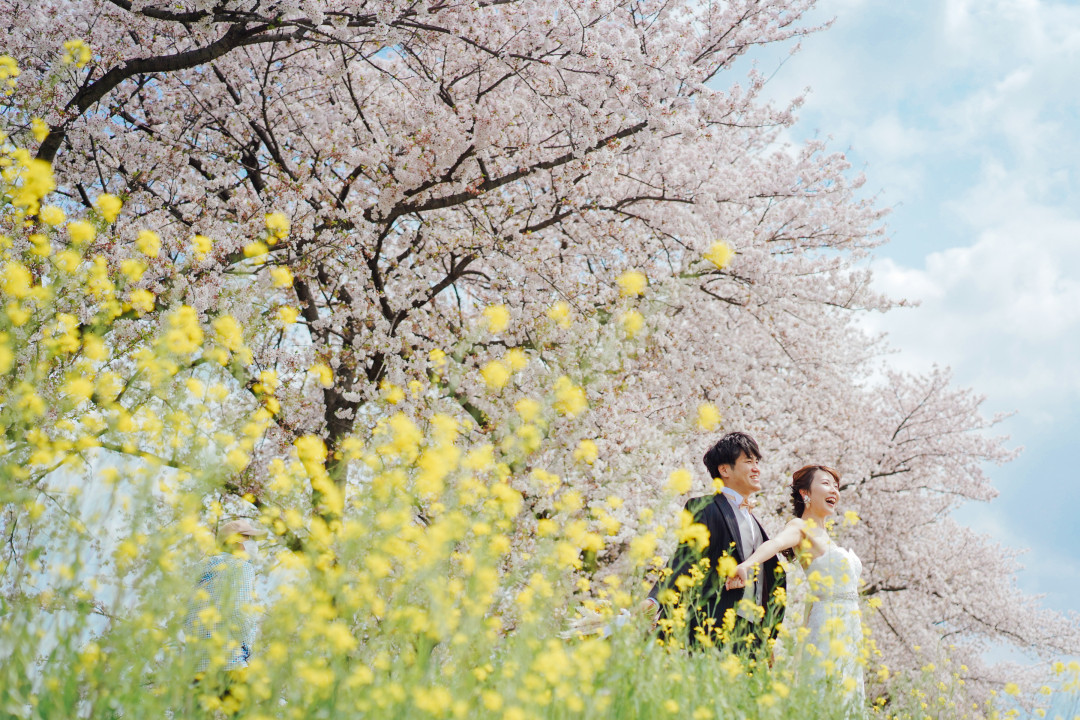 桜でフォトウェディング・前撮り15