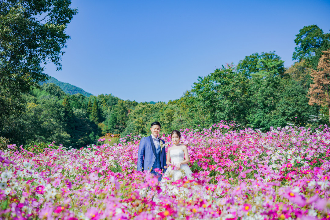 広島市植物公園1