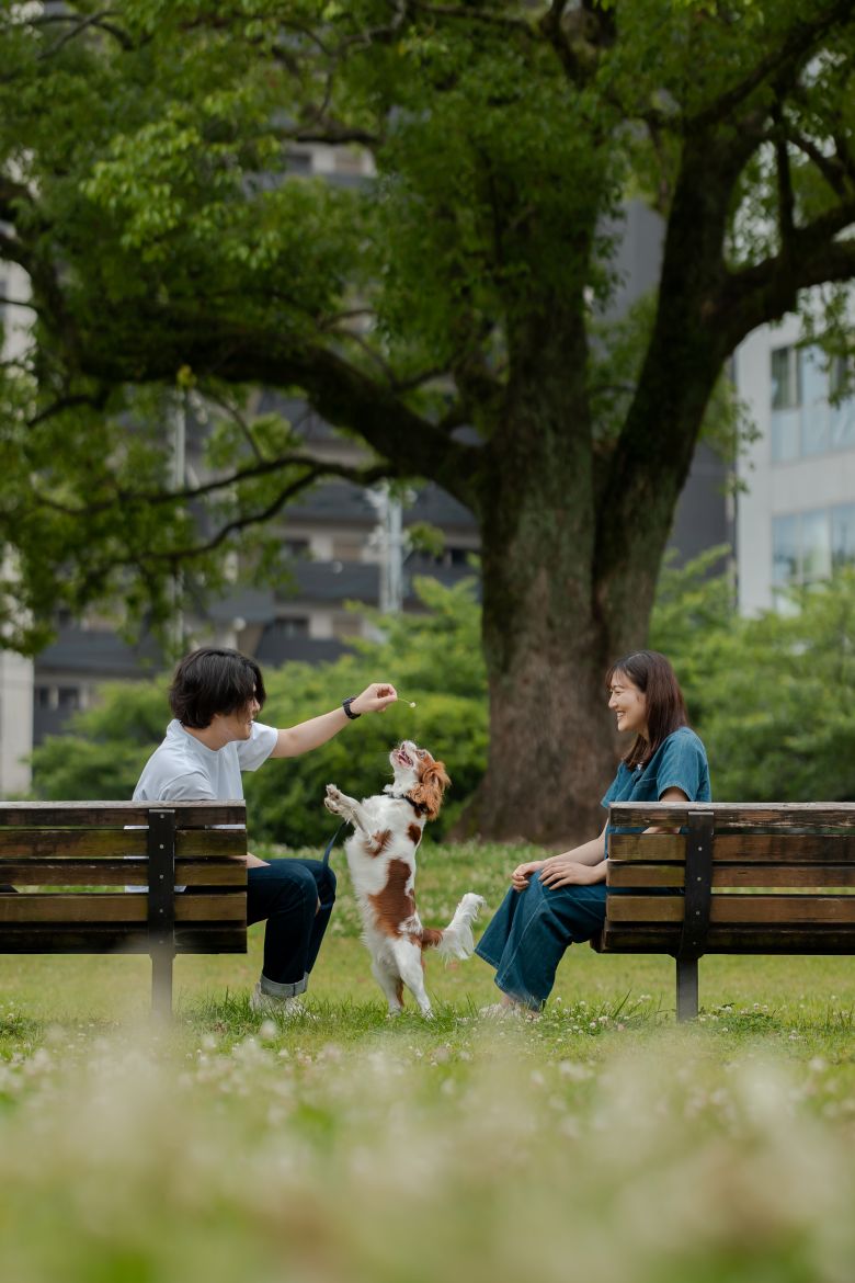 白川公園14