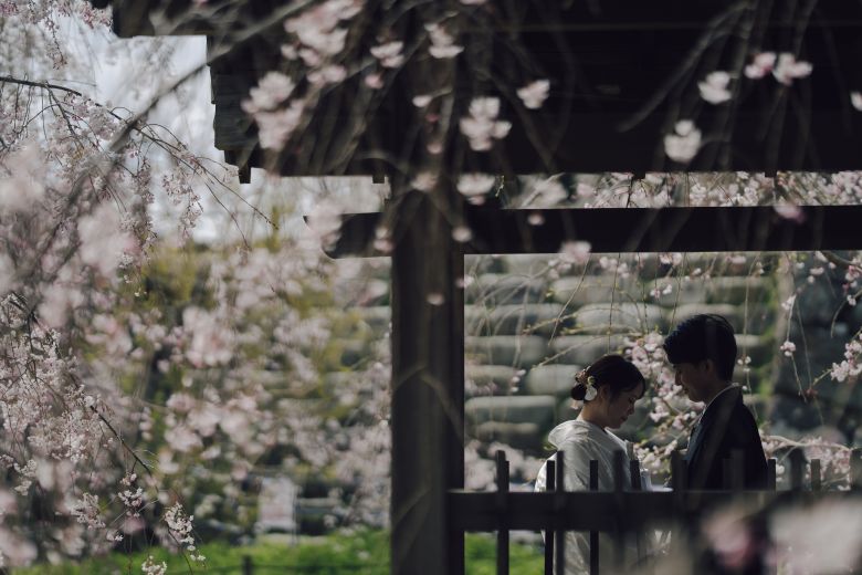 舞鶴公園8