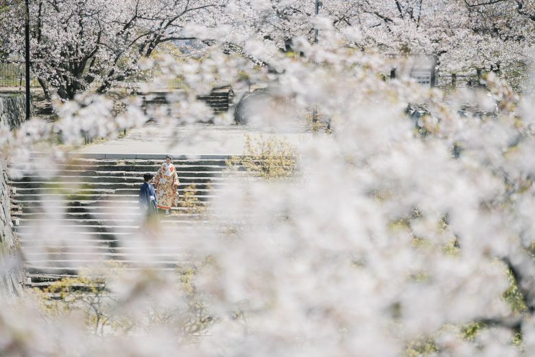 舞鶴公園16