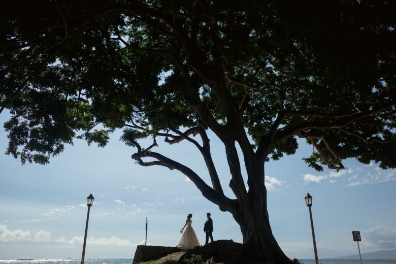 カピオラニパーク22