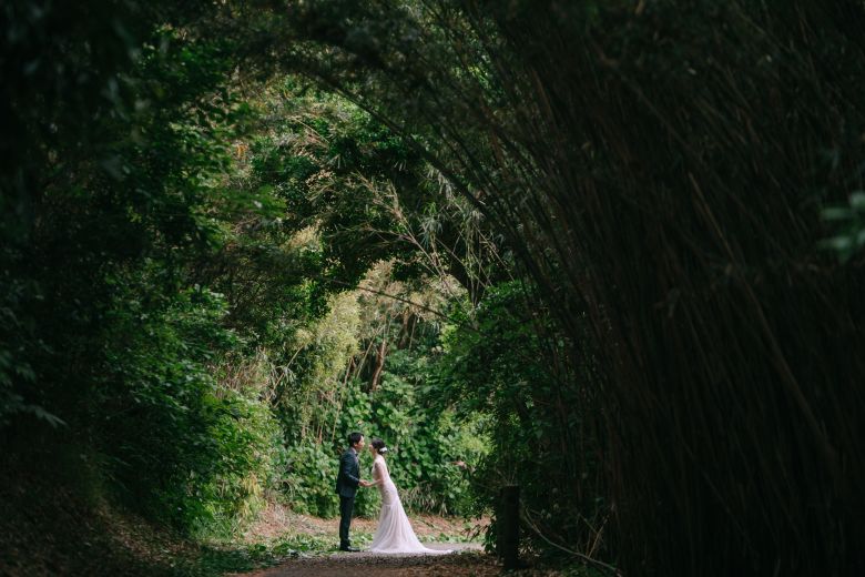 大房岬自然公園13