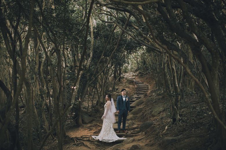 糸島（トトロの森）18