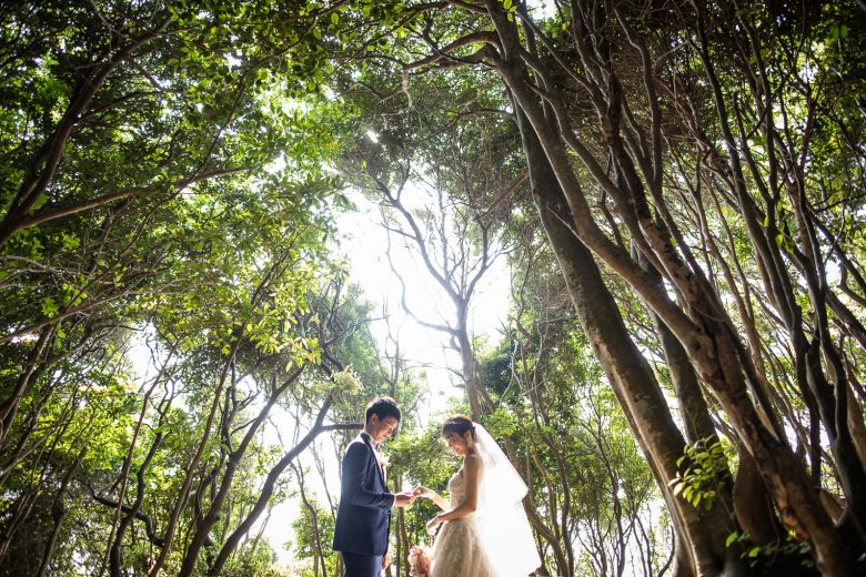 糸島（トトロの森）11