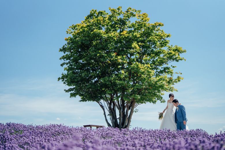 日の出公園（富良野）3
