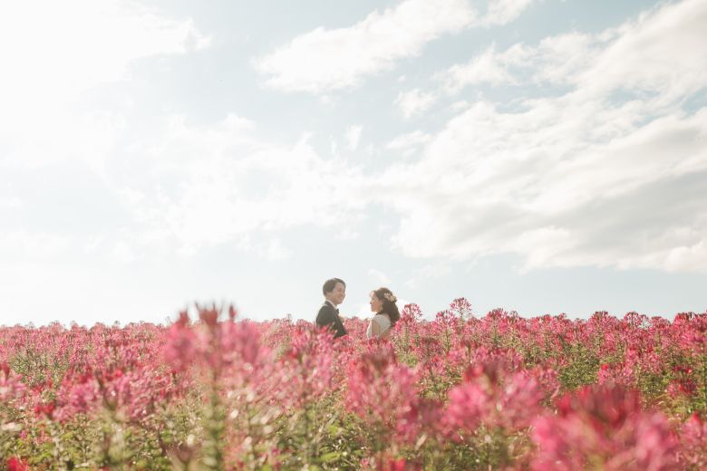 フラワーランド（富良野）25