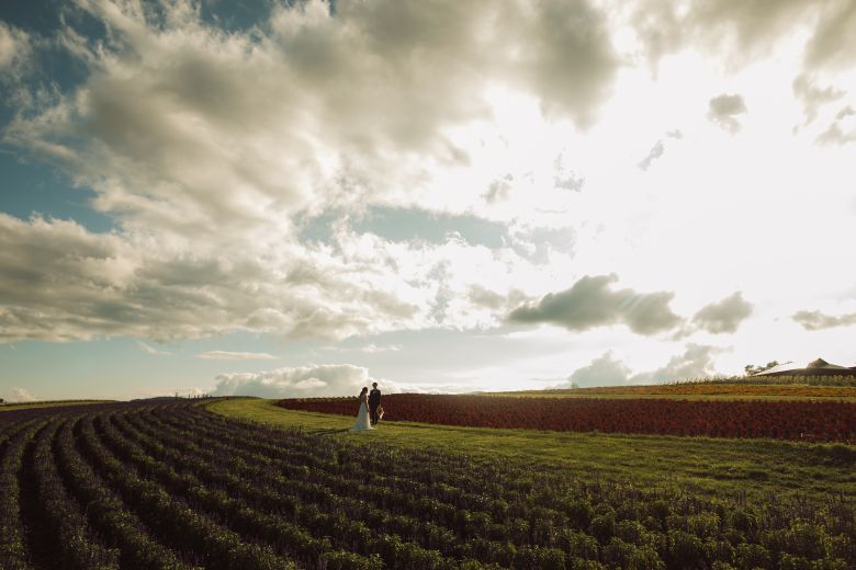 フラワーランド（富良野）28