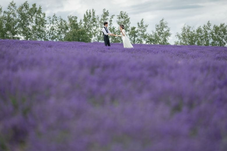 フラワーランド（富良野）14