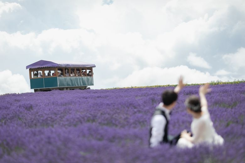 フラワーランド（富良野）16