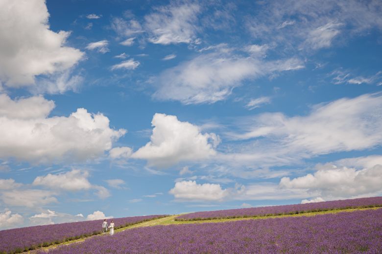 日の出公園（富良野）21