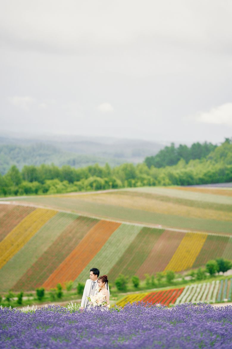 四季彩の丘（美瑛）2