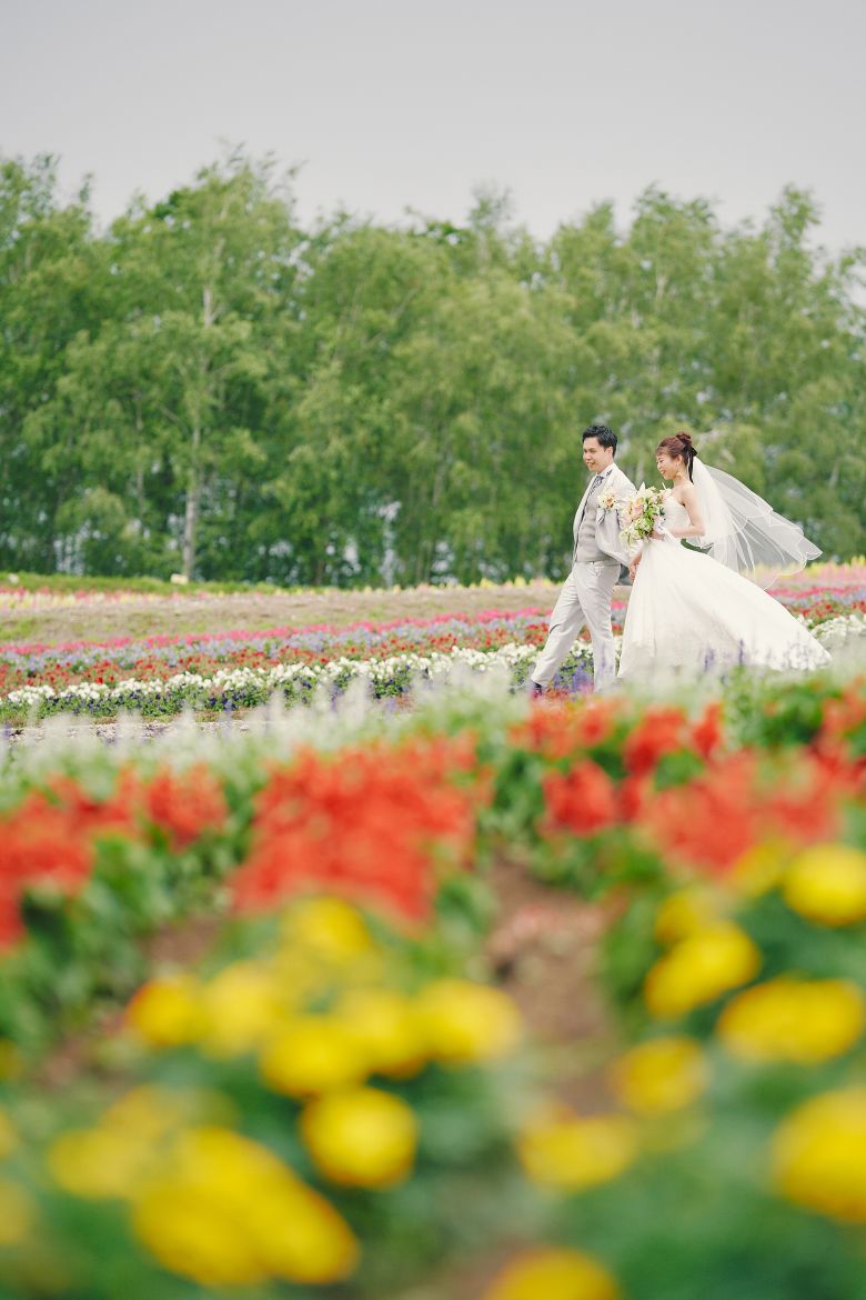 四季彩の丘（美瑛）5