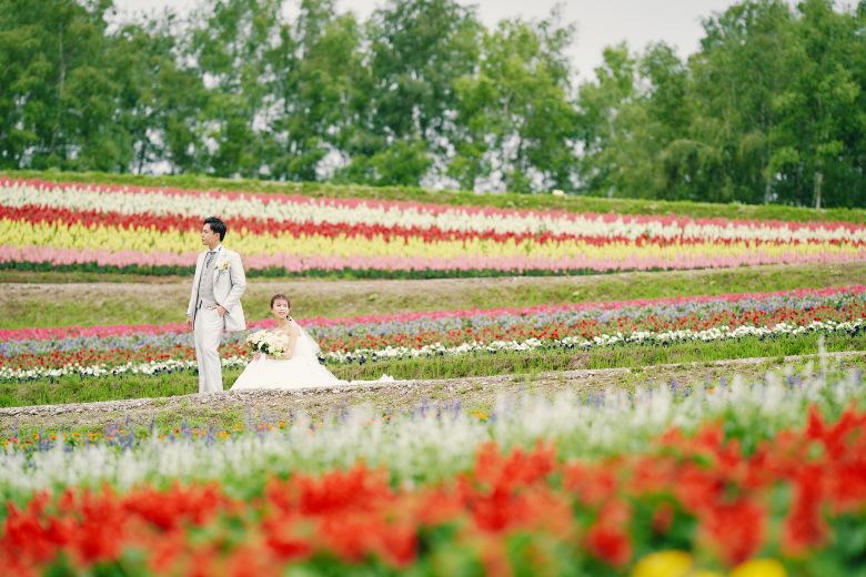 四季彩の丘（美瑛）4