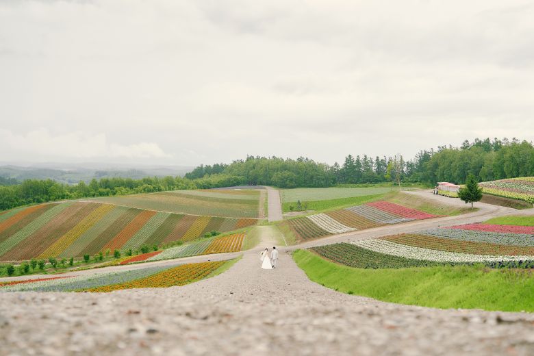 四季彩の丘（美瑛）1