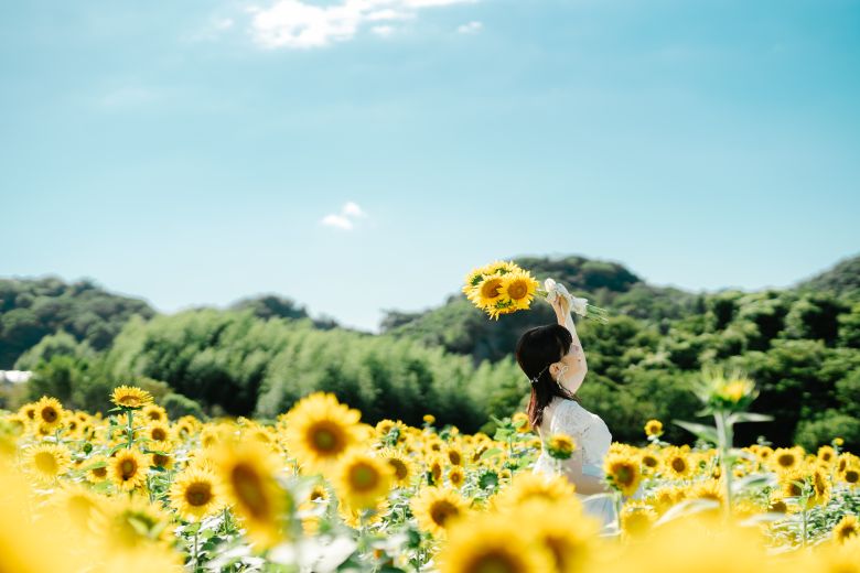 花ひろば
