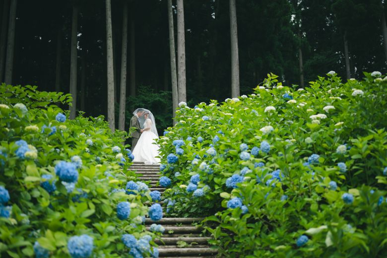 国営越後丘陵公園5