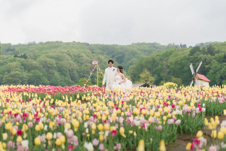 国営越後丘陵公園6