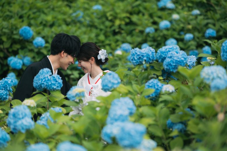 国営越後丘陵公園12