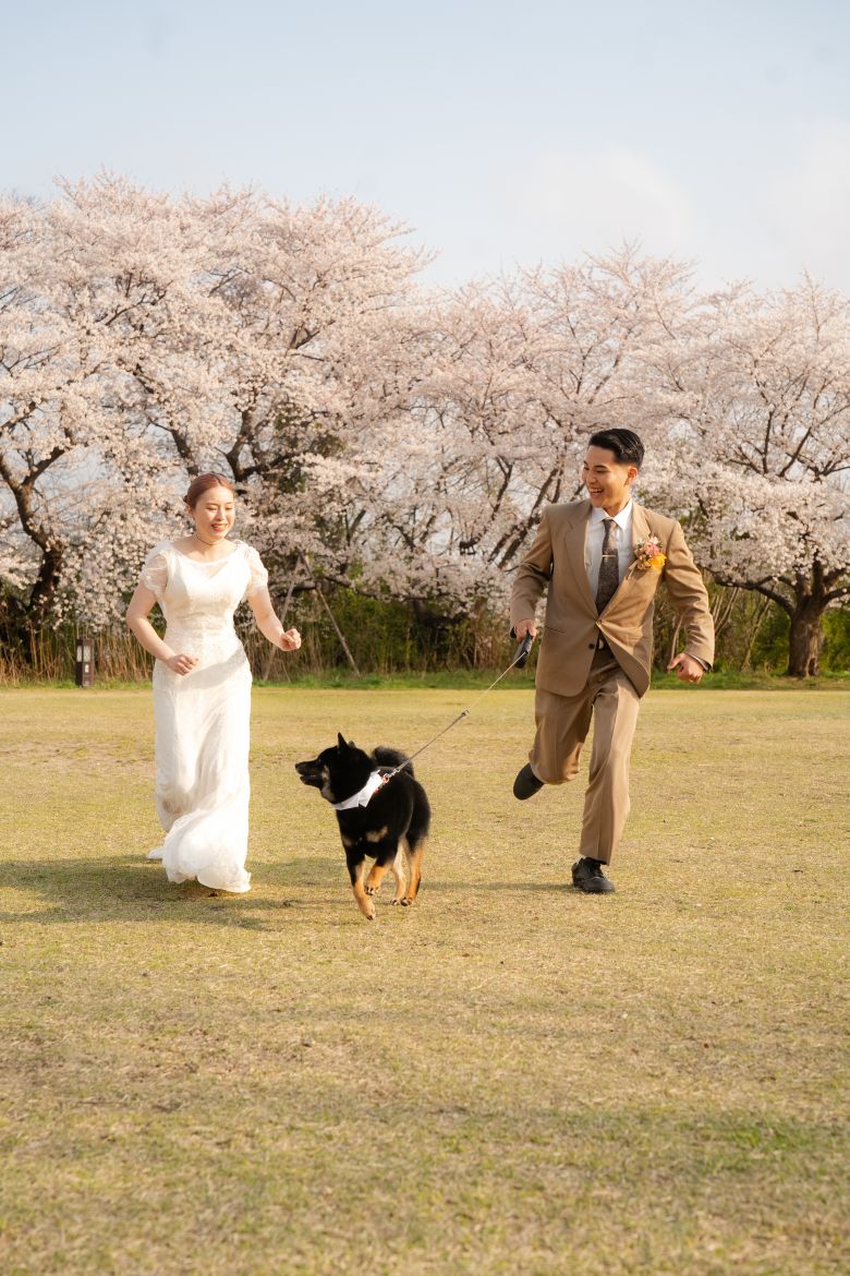 新潟県スポーツ公園12